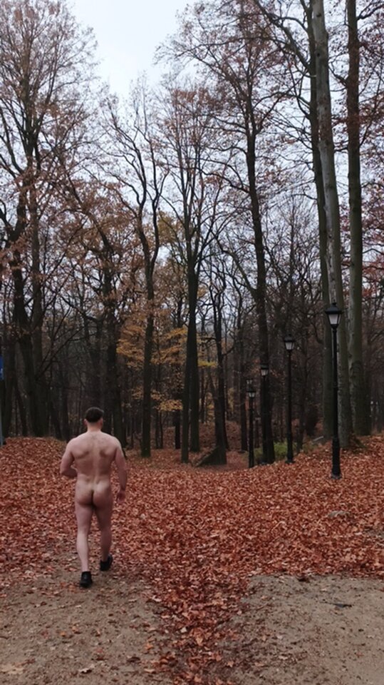 park.jpg - PublicPlaces