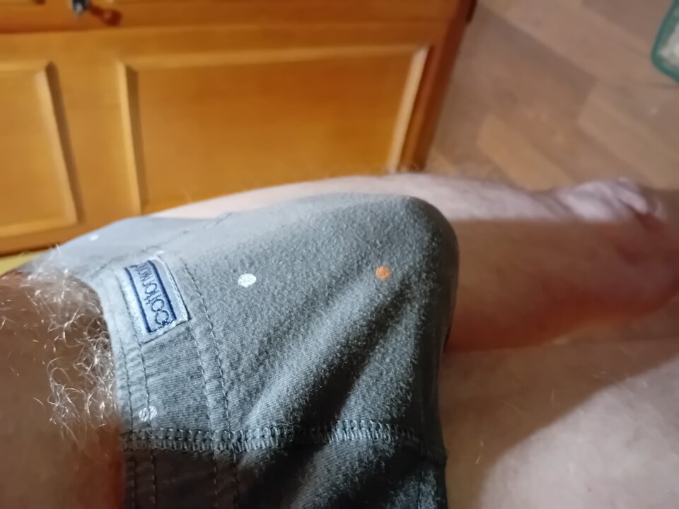 1000009690.jpg - brus13