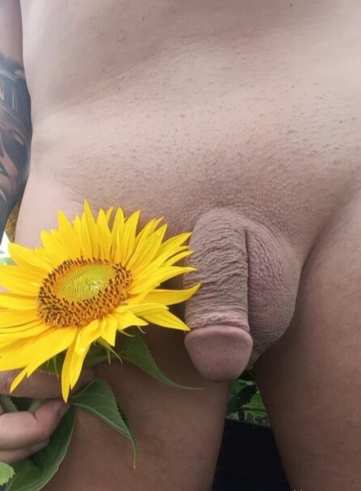 1000007646.jpg - plenerowo87