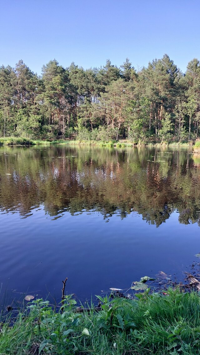 Swiadomosc369