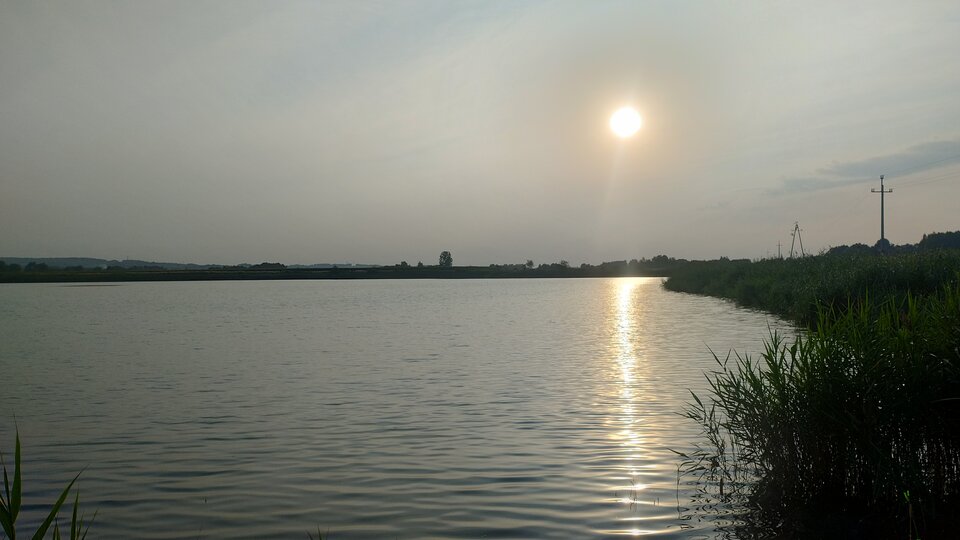 1000077838.jpg - doriano66