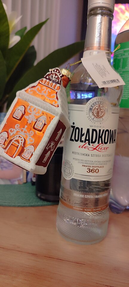 IMG_20251214_163249.jpg - Singiel44on