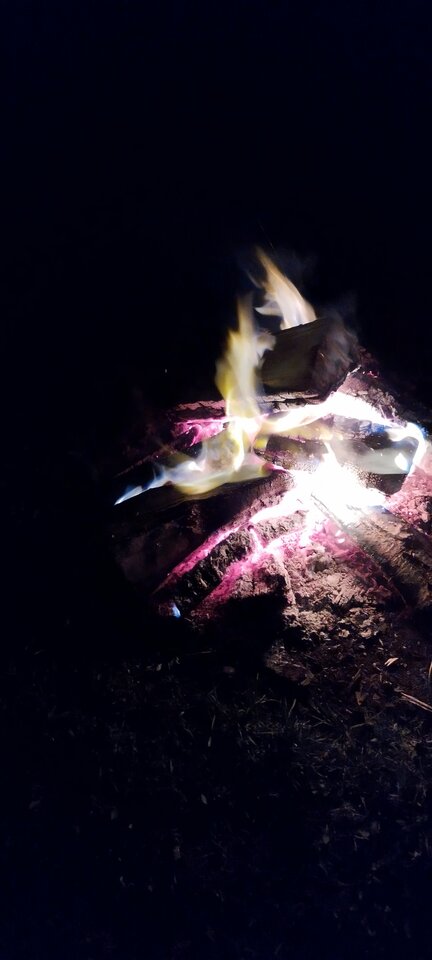 1000003514.jpg - Turkawki7285