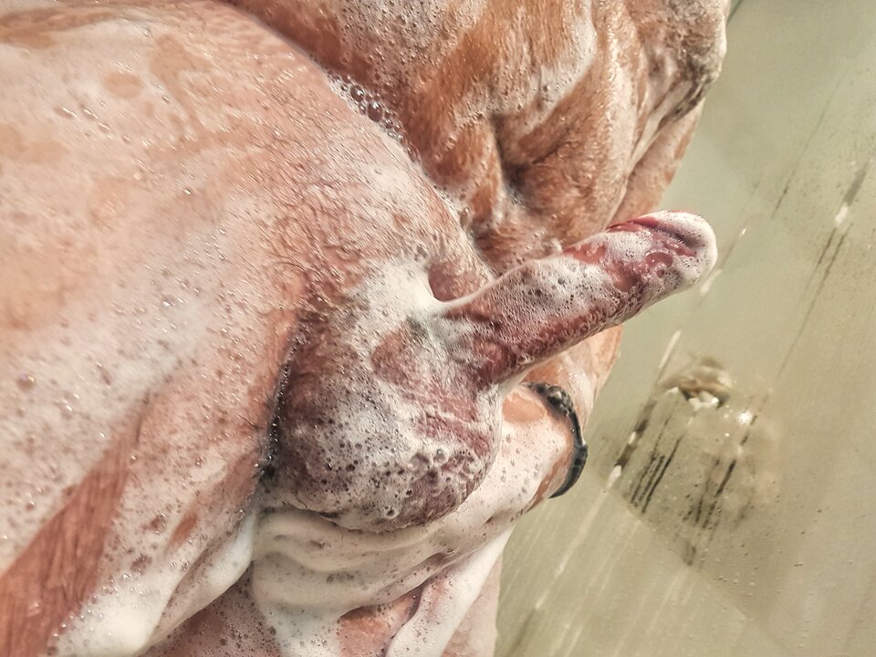 20251214_110605-02.jpeg - NietypowyFacett