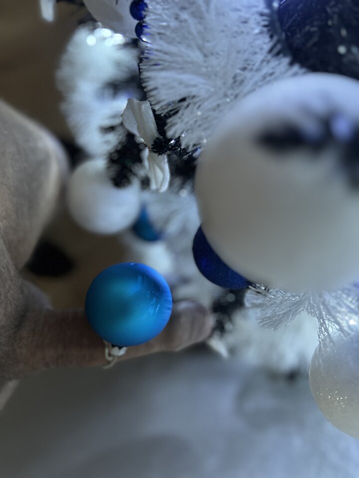 IMG_9722.jpeg - Piotrrandka