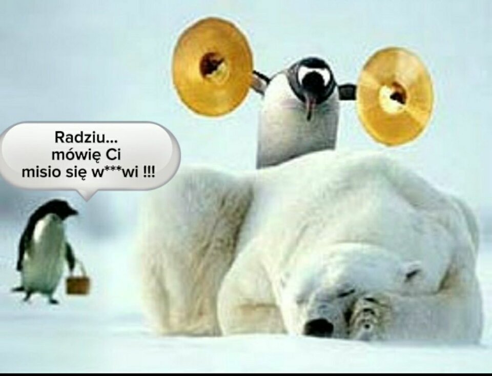 597270394_828910133473561_264083652178042823_n.jpg - xwd85