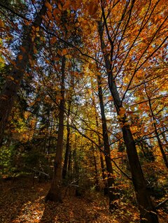 59933470-5012-401b-96e2-ebc66fbaa011.jfif