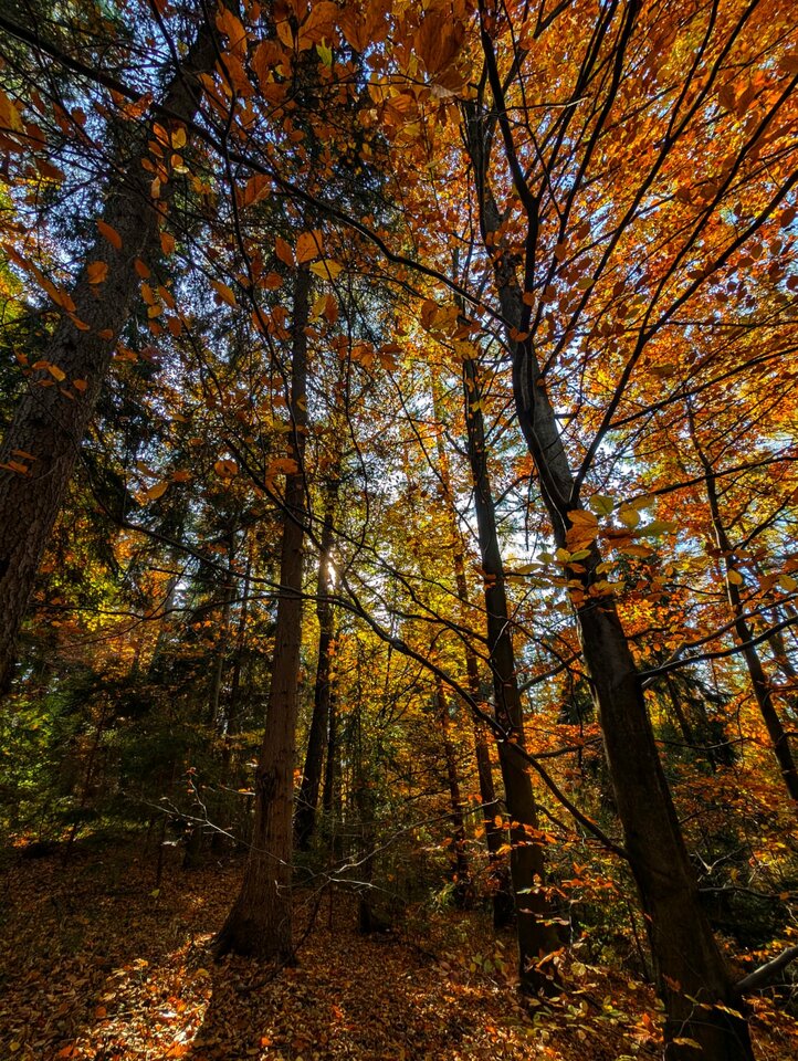 59933470-5012-401b-96e2-ebc66fbaa011.jfif - sensory_