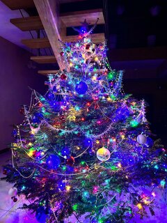 Zdjęcie WhatsApp 2025-12-16 o 06.53.23_9117c6cc.jpg