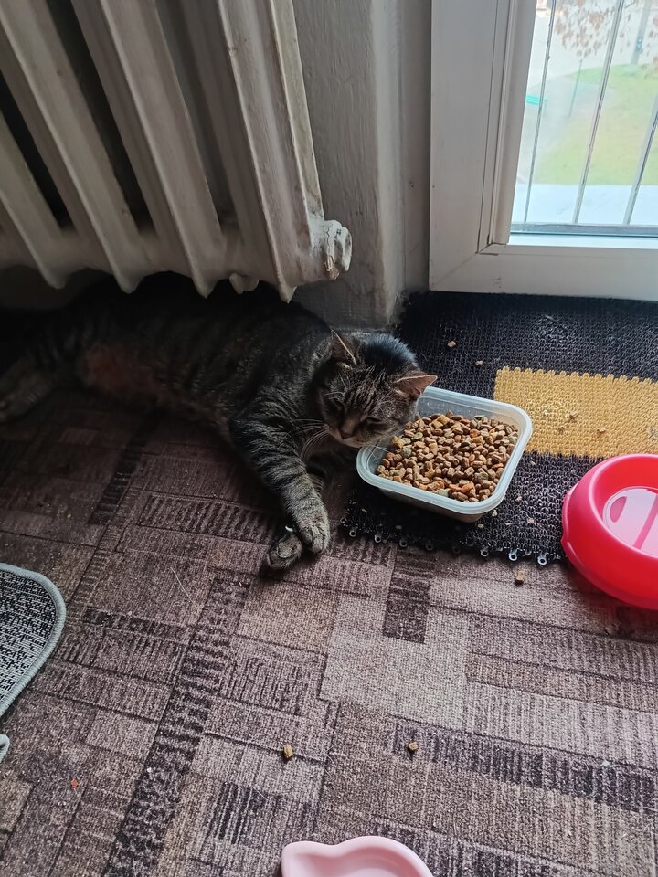 IMG_20251216_112430034_HDR.jpg - brunetkakr