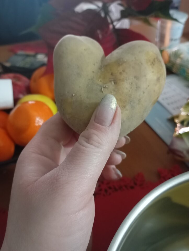 IMG_20251216_120121.jpg - SamaNieWiem83