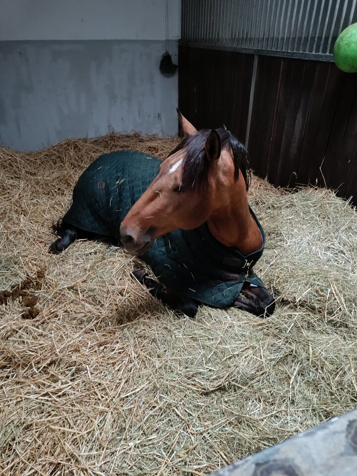 1000020474.jpg - duzyduda19