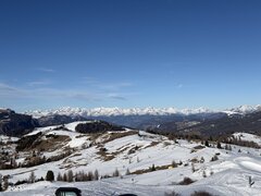 IMG_2659.jpeg