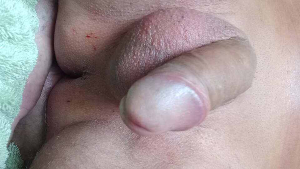 1000002588.jpg - Anallove1979