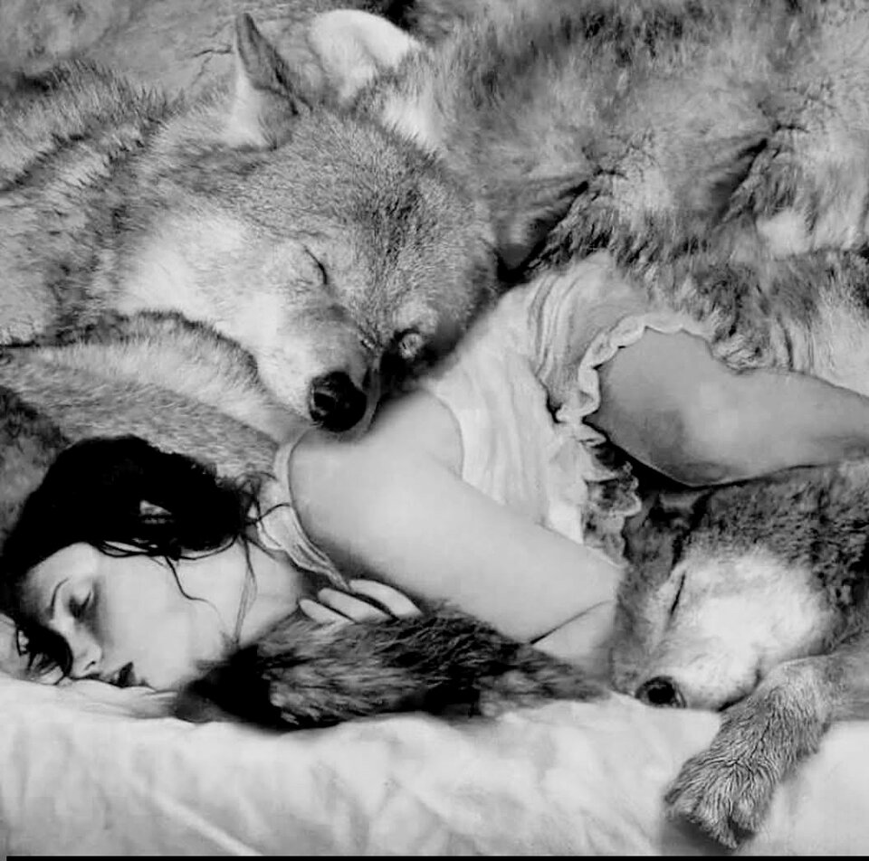 1000008300.jpg - SamotnyWolf45