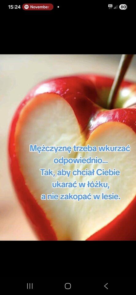 1000045982.jpg - Bi_para_KiP