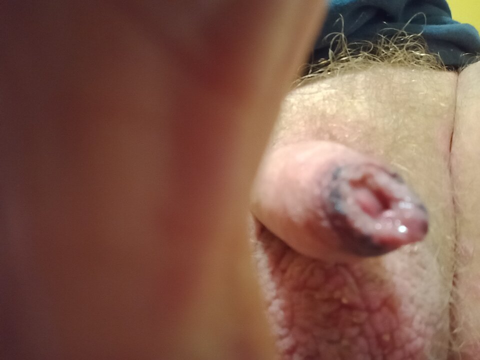 IMG_20251219_013222568_MFNR.jpg - ROBWEN86