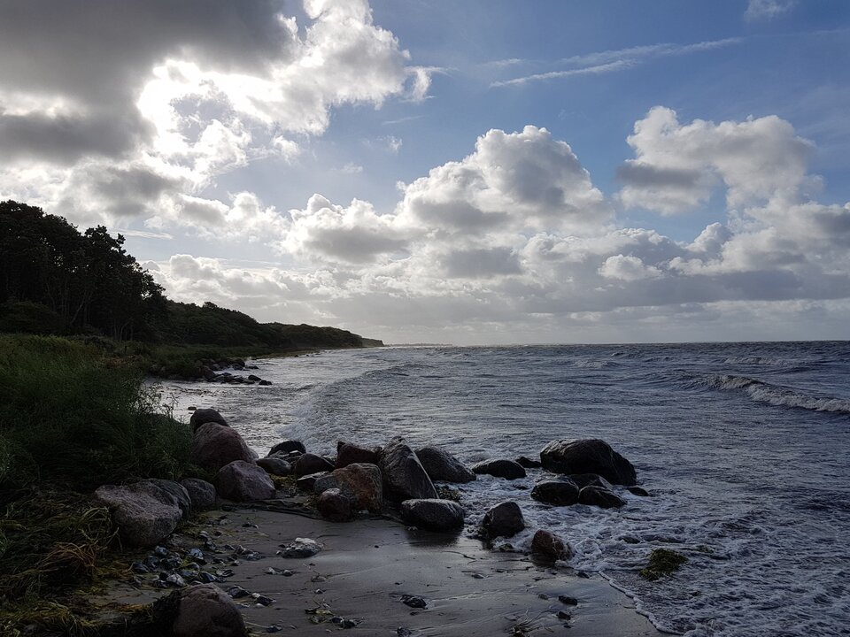 1000001182.jpg - wenda999