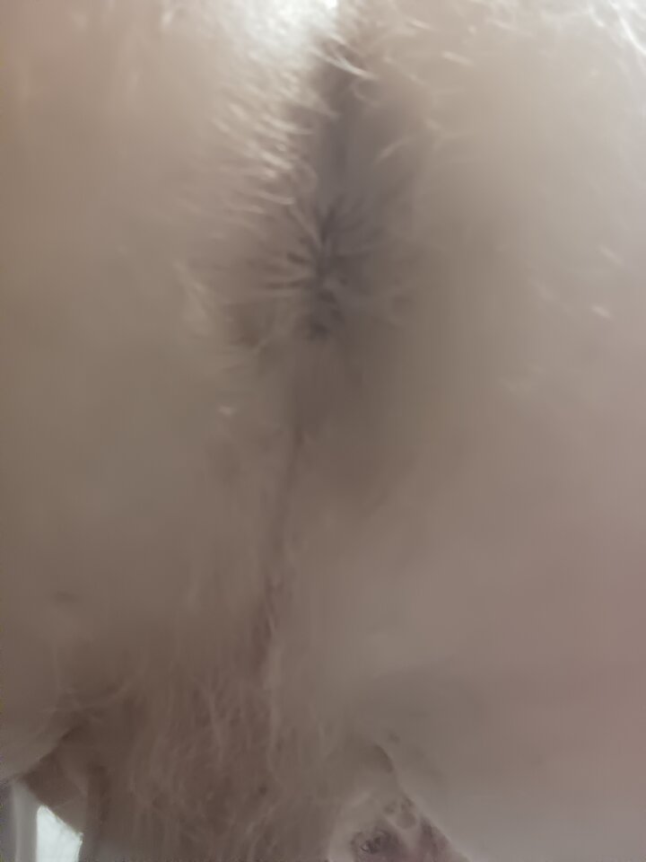 IMG_20251220_162135.jpg - Rajstopypl