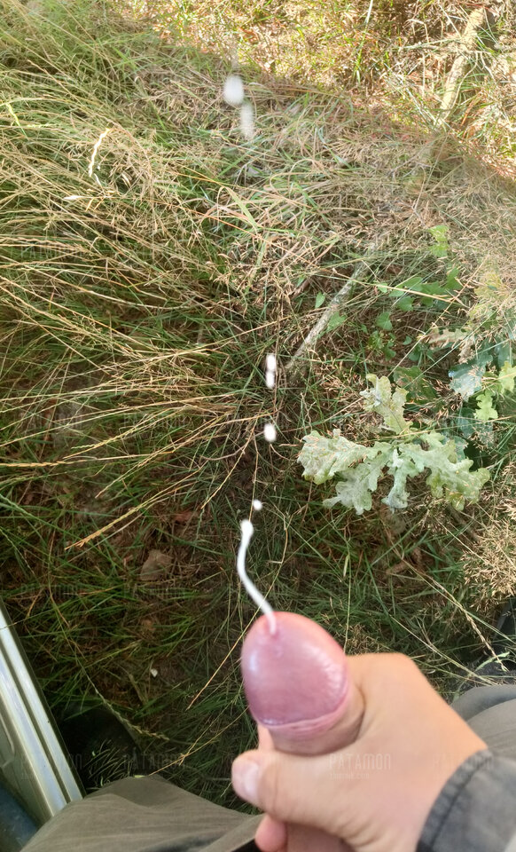 Samemu też czasem trzeba... - Patamon