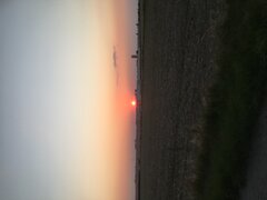 IMG_2457.jpeg