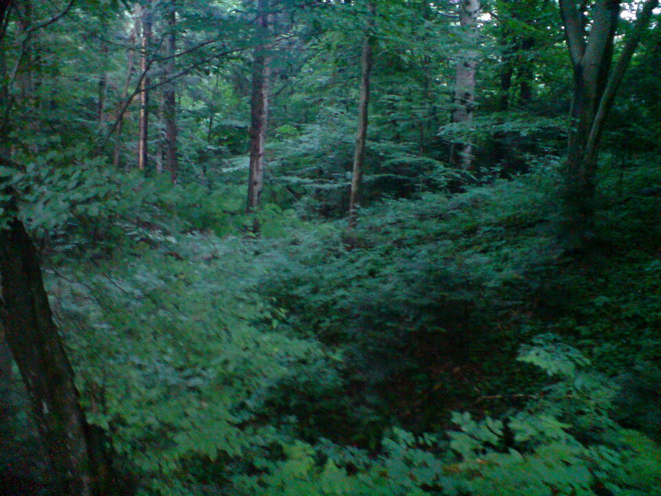 DSC00017.jpg - Zbigbi