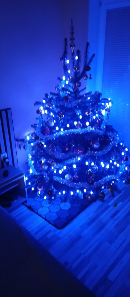 IMG_20251220_183503_555.jpg - EwaCros