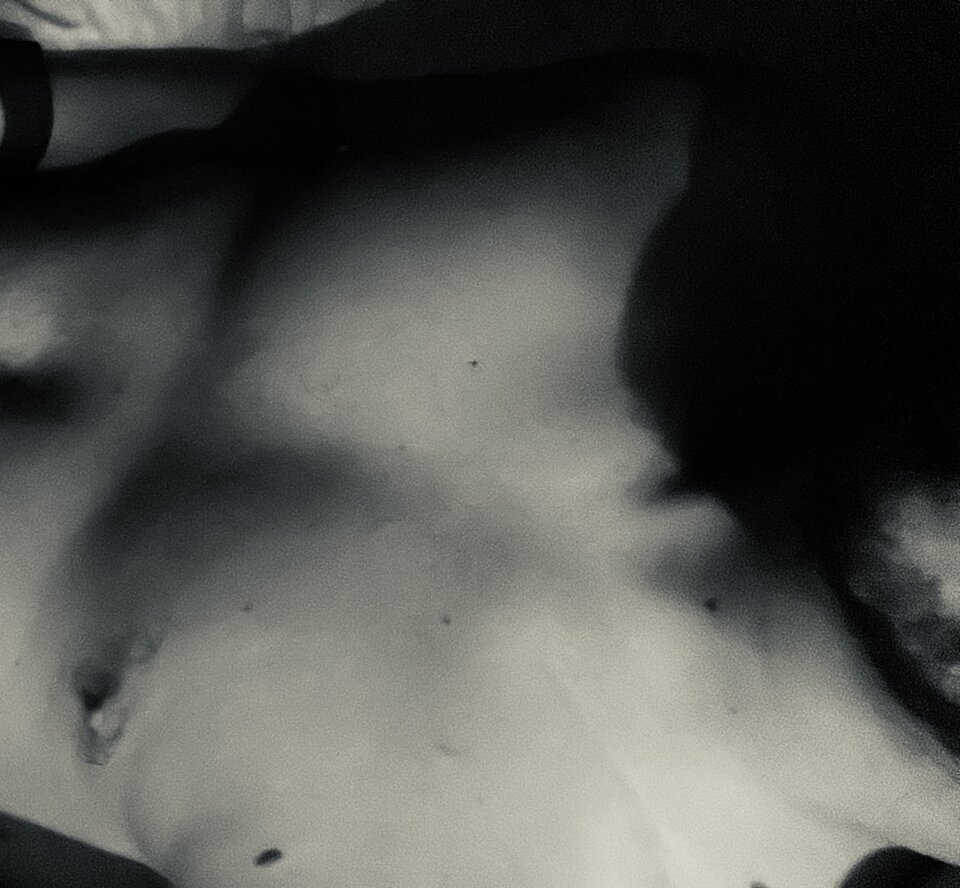 IMG_2456.jpeg - Basmanti