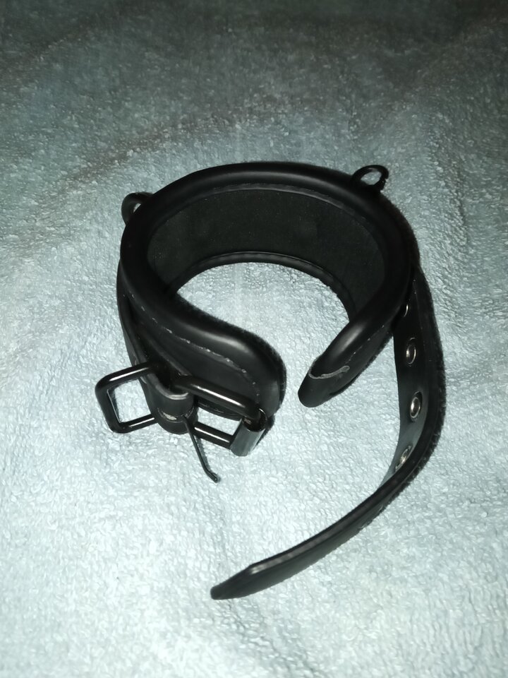 1000011750.jpg - NumberFive