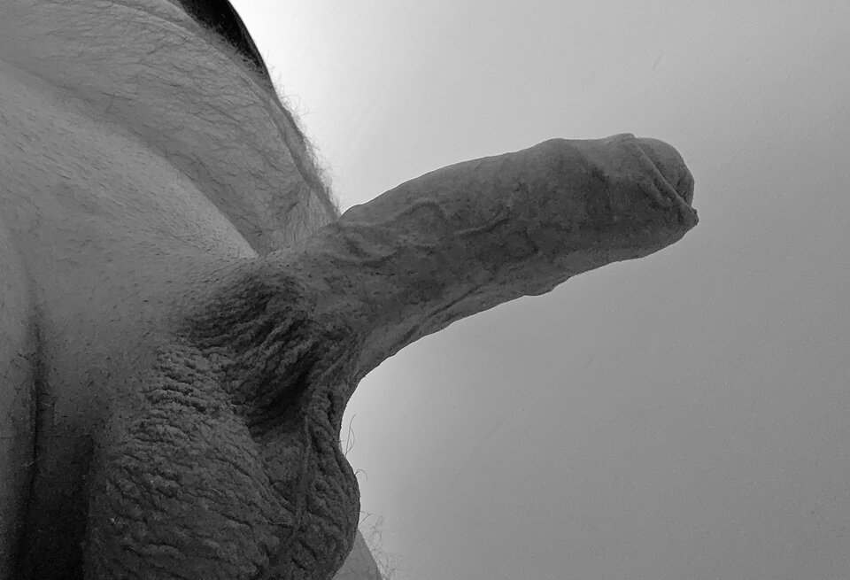 20250419_125135(1).jpg - TruckerFuckerr