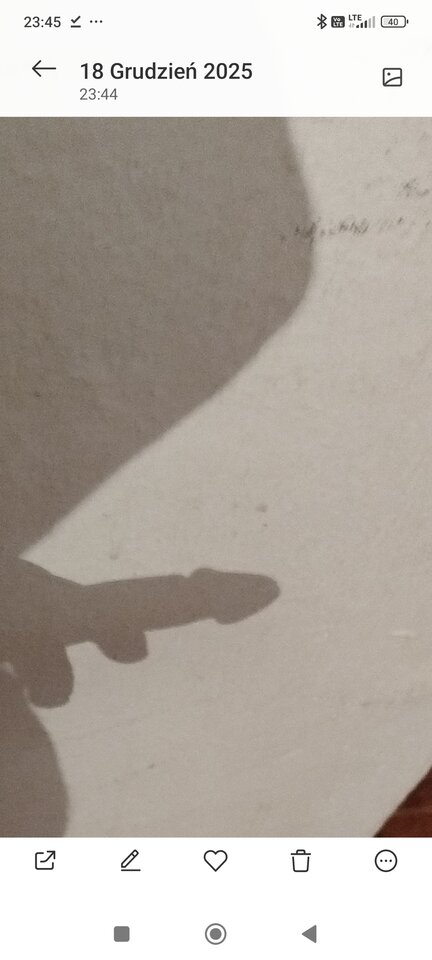 1000003492.jpg - zwierzedozabawy