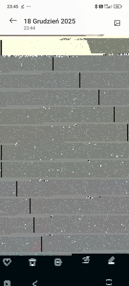 1000003492.jpg - zwierzedozabawy