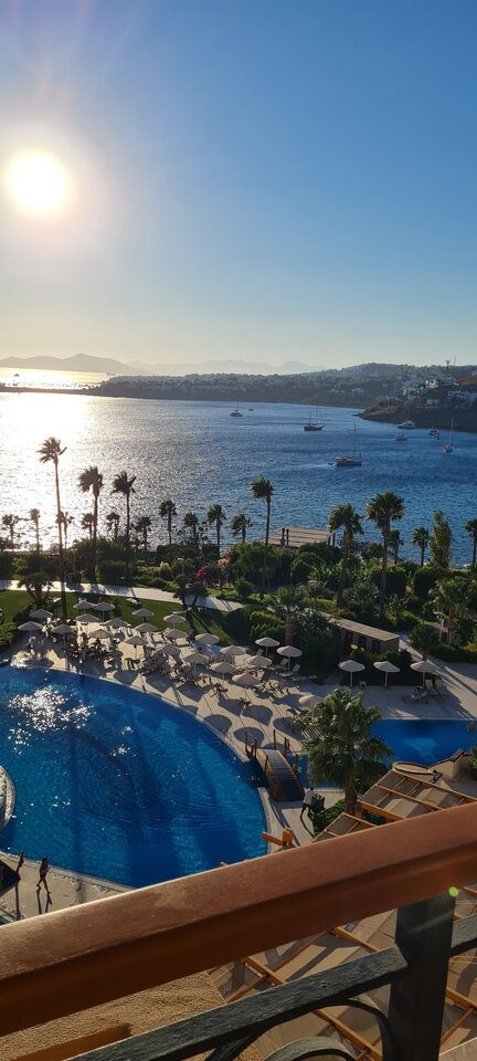 20210925_180136.jpg - SanczoPanda