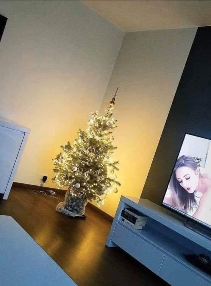 1000020523.jpg - Vviolusia