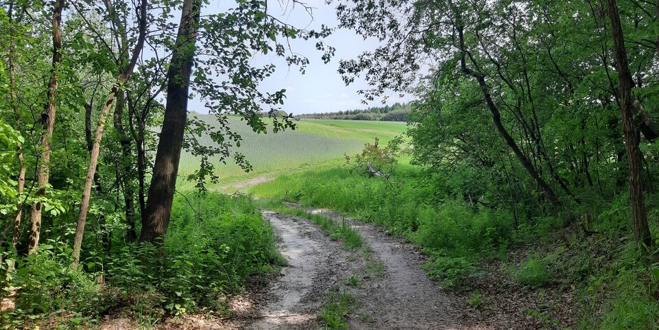 20230529_114115.jpg - bogdan4400