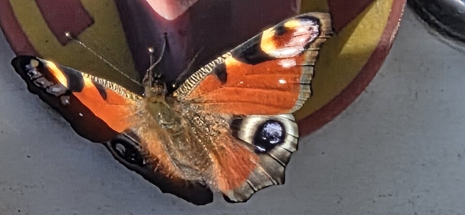 1000040225.jpg - Pawel7508