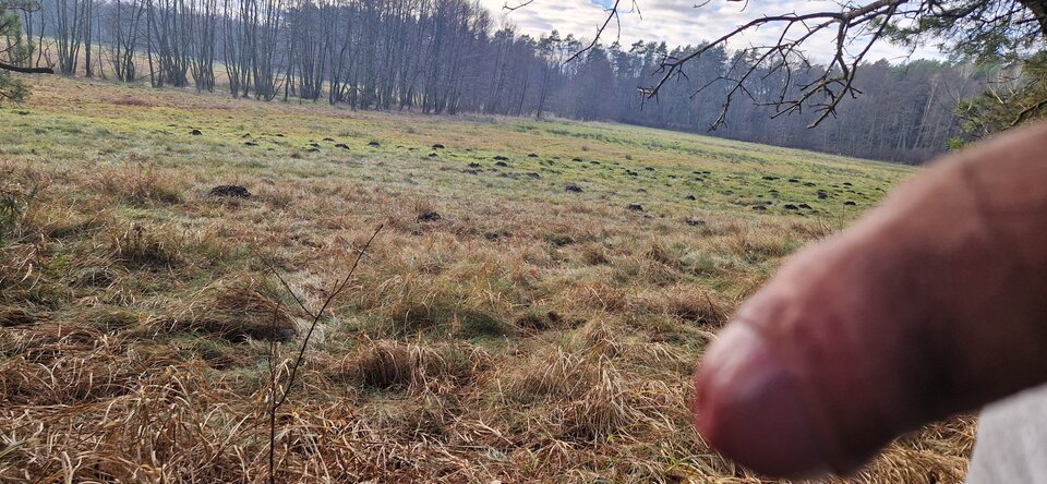 1000012052.jpg - GrzecznyGrudziadz69