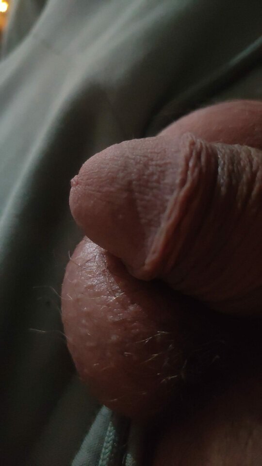 IMG-20251223-WA0002.jpg - Falteti