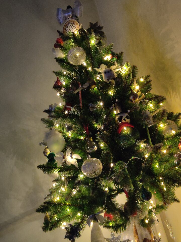 17665213815216023025132246923226.jpg - Falteti