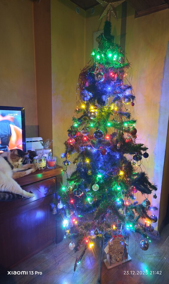 1000047281.jpg - cinek994