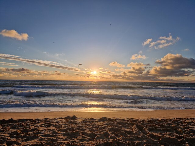 drapieznieromantyczni