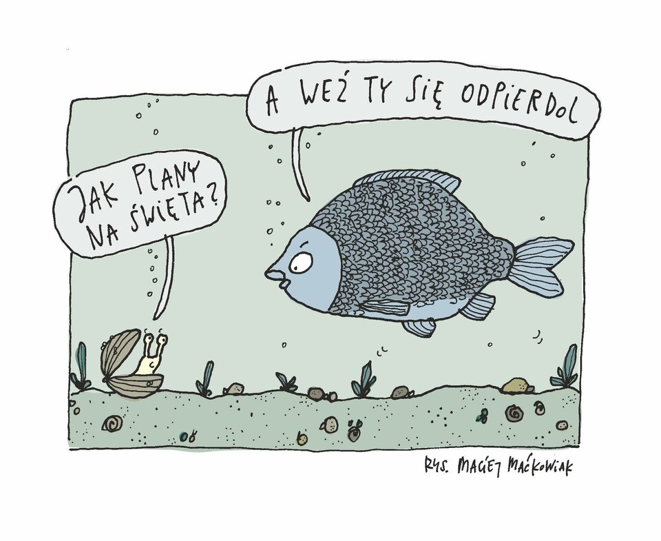 plany.jpg - zielonybez