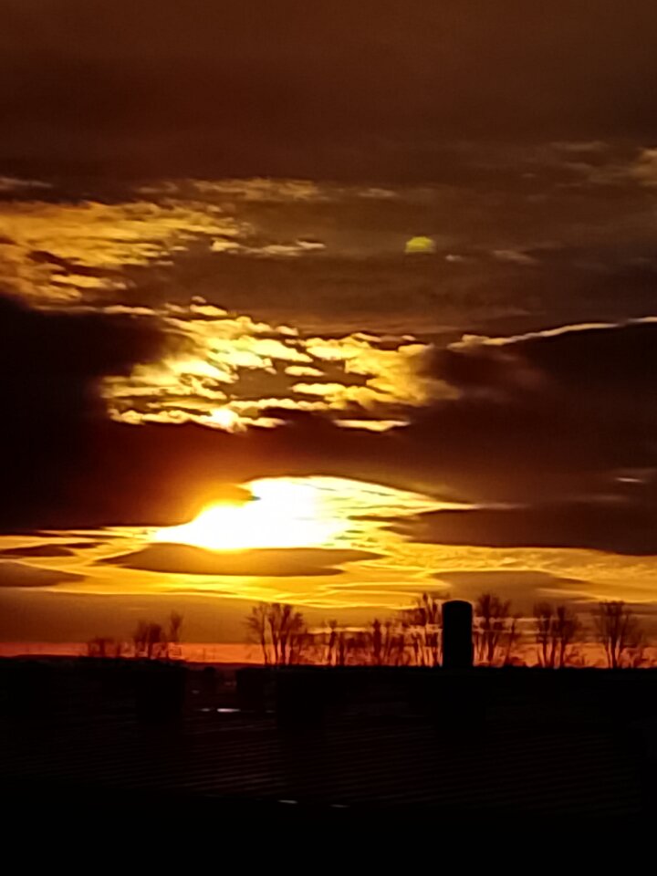 1000008355.jpg - Duzykutass24