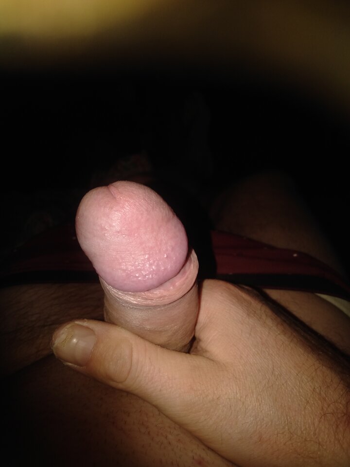 IMG20251225004111.jpg - holywood