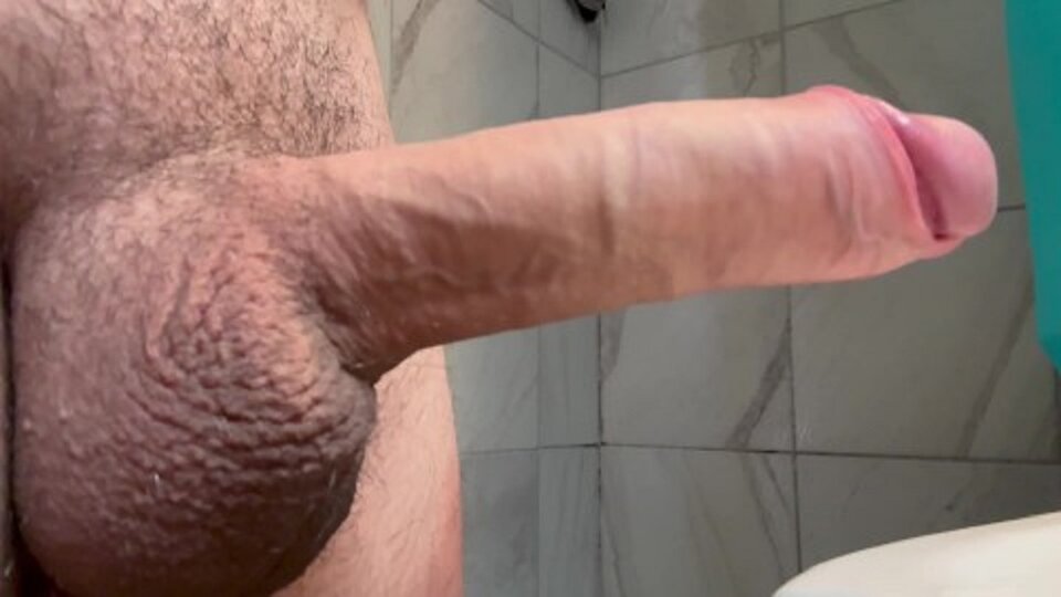 02123152415485484 - Heveliusz225