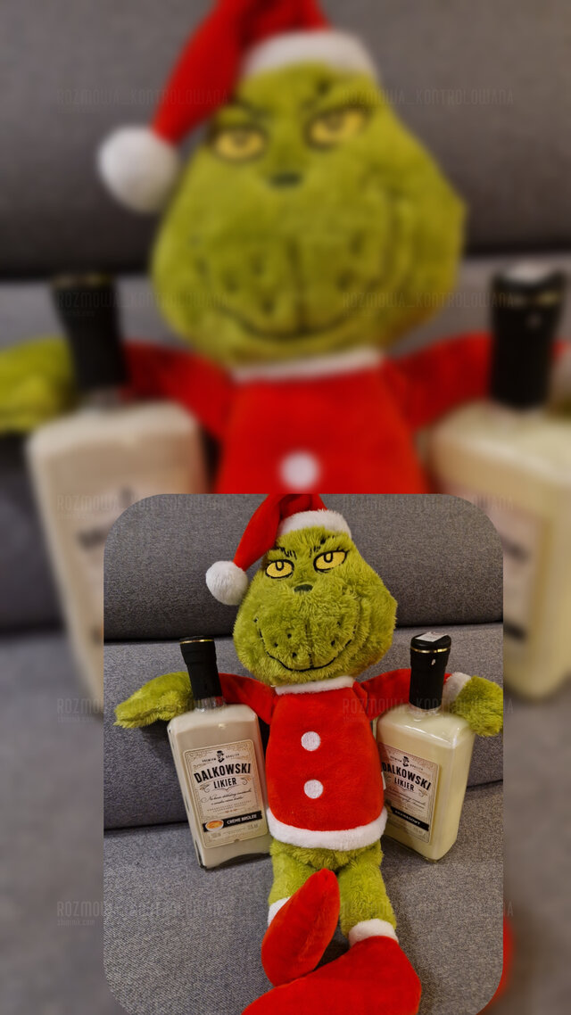 rozmowa_kontrolowana