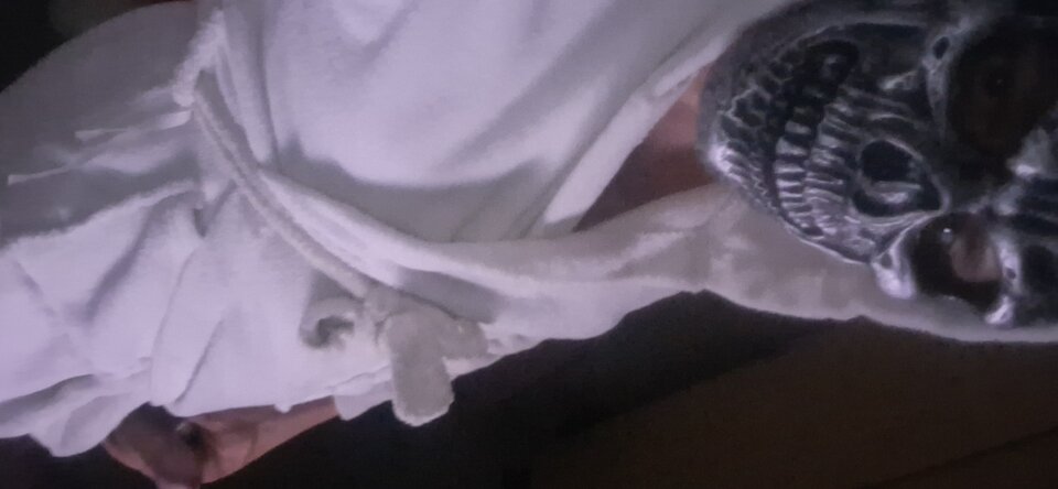20251213_021651.jpg - Skullon