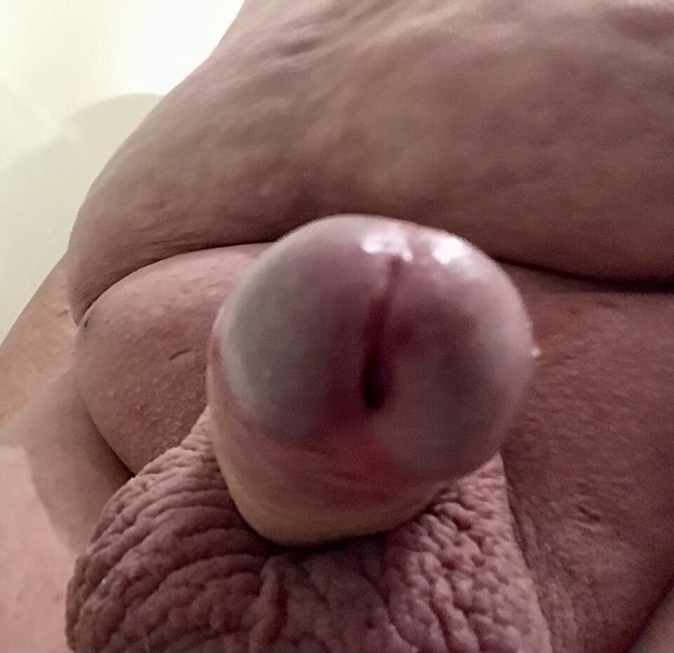 IMG_0489.jpeg - Greypervert