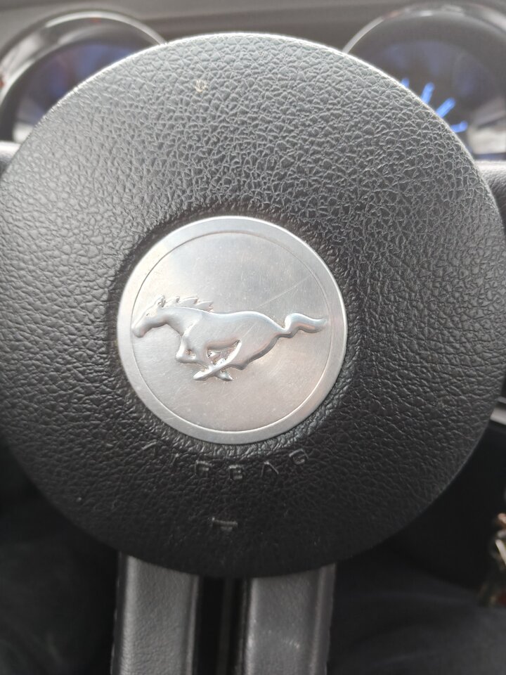 1000000861.jpg - roberta104