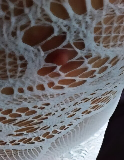 170x220c(166).jpg - joanna1977